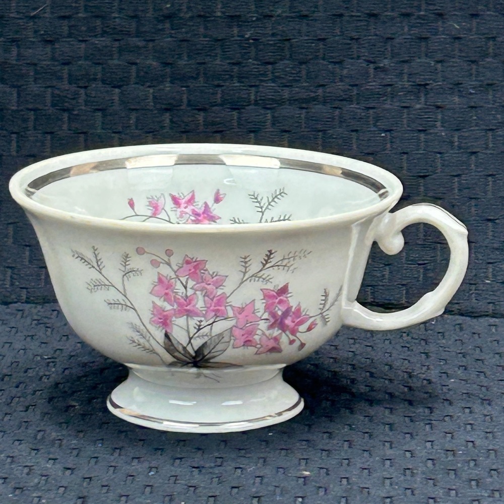 Karolina Poland China Teacup Pink Floral Silver Trim‎ Vintage Porcelain 3879 8